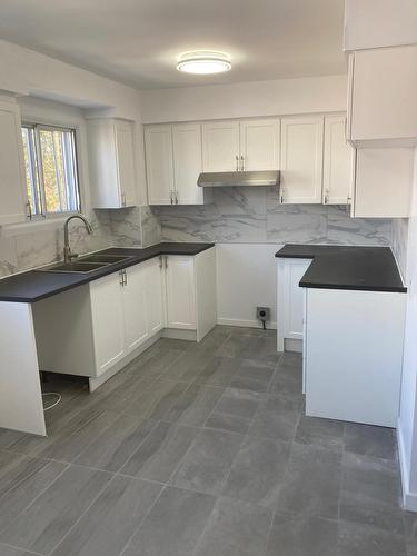 Kitchen - 581 15E Avenue, Montréal (Lasalle), QC - Indoor Photo Showing Kitchen With Double Sink
