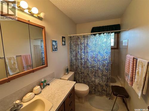 101 Phillips Street, Muenster, SK - Indoor Photo Showing Bathroom