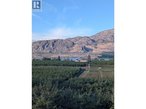 2450 Radio Tower Road Unit# 32, Oliver, BC - Outdoor With View