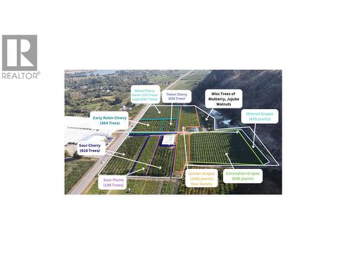 7298 Hwy 97 Highway, Oliver, BC 