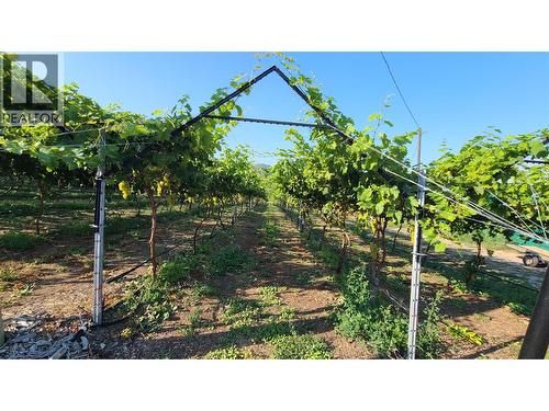 7298 Hwy 97 Highway, Oliver, BC 