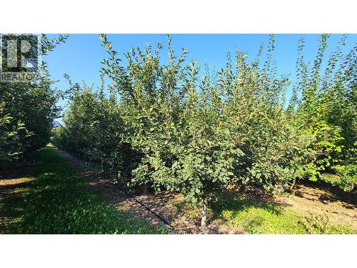 7298 Hwy 97 Highway, Oliver, BC 