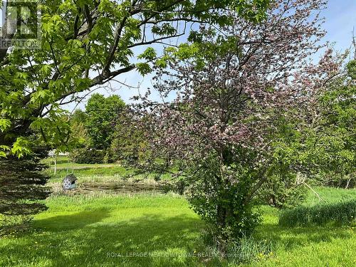 5167 Fifth Line, Erin, ON 