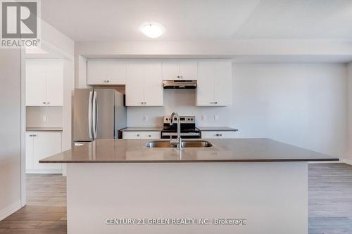 104 - 585 Colborne Street, Brantford, ON - Indoor Photo Showing Kitchen With Double Sink