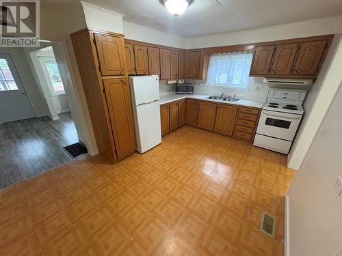 3 Davis Lane, Bishop'S Falls, NL - Indoor Photo Showing Kitchen With Double Sink