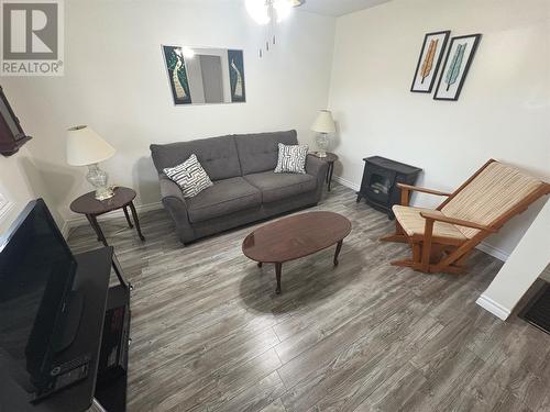 3 Davis Lane, Bishop'S Falls, NL - Indoor Photo Showing Living Room