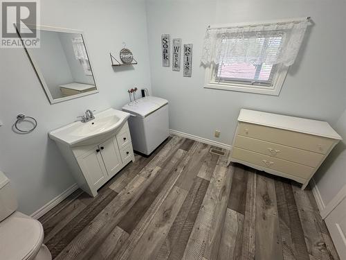 3 Davis Lane, Bishop'S Falls, NL - Indoor Photo Showing Bathroom