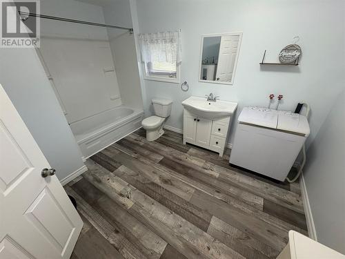 3 Davis Lane, Bishop'S Falls, NL - Indoor Photo Showing Bathroom