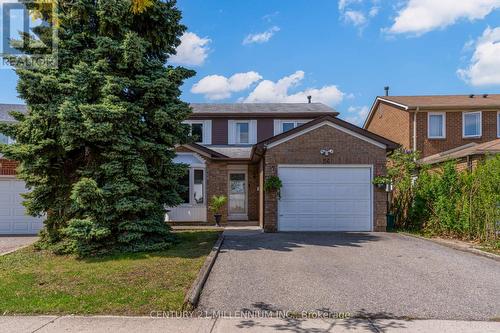 56 NUTTALL STREET  Brampton, ON L6S 4V4