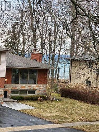 52 South Marine Drive, Toronto, ON - Outdoor