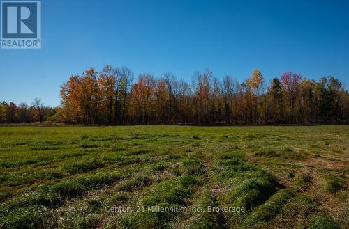 6989 Con B/C Road, Ramara, ON 