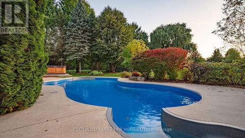 74 Mactaggart Drive, King, ON - Outdoor With In Ground Pool With Backyard