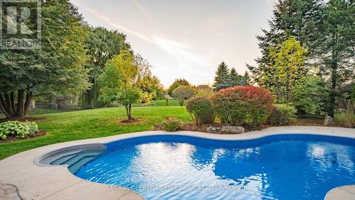 74 Mactaggart Drive, King, ON - Outdoor With In Ground Pool With Backyard