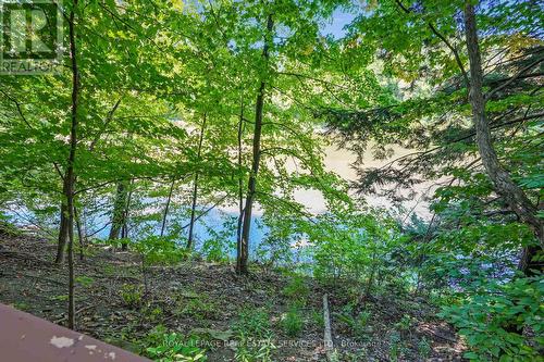 397 River Side Drive, Oakville, ON - Outdoor