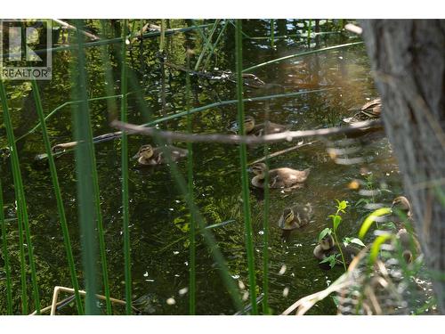 877 Klo Road Unit# 311, Kelowna, BC - 