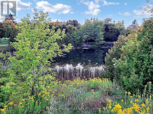 165 Lori Avenue, Whitchurch-Stouffville, ON - Outdoor With View