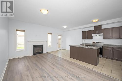 79 Sonoma Valley Crescent, Hamilton, ON - Indoor With Fireplace