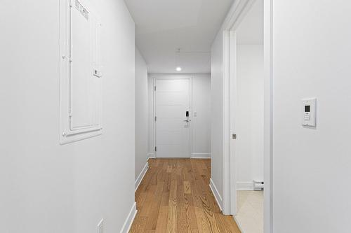 Hall - 712-100 Rue Murray, Montréal (Le Sud-Ouest), QC - Indoor Photo Showing Other Room