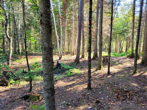 Terre/Terrain - Rue Lise, Saint-Côme, QC 