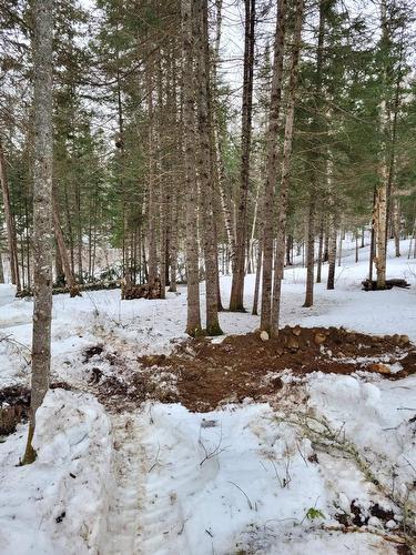 Autre - Rue Lise, Saint-Côme, QC 