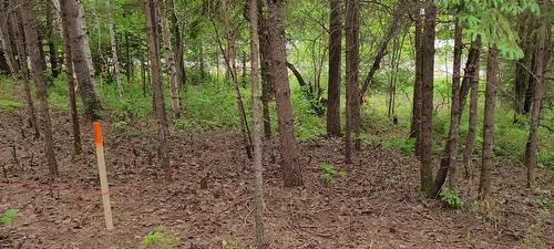 Land/Lot - 51E Avenue, Saint-Côme, QC 