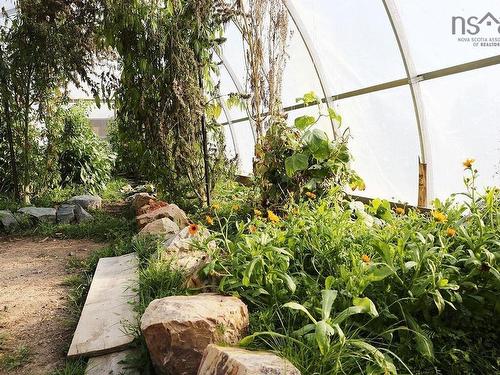 923 Soldiers Cove Road, Lewis Cove Road, NS 