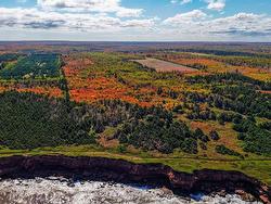 11058 North Side Road  St Margaret, PE C0A 2B0