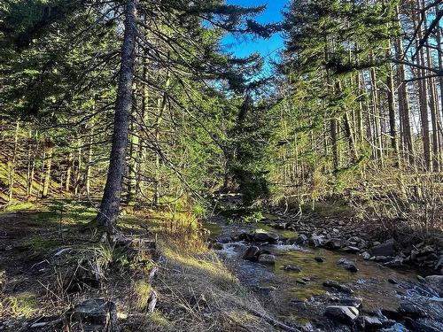 Lot Shore Road E, Mount Hanley, NS 