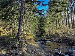 Lot Shore Road E  Mount Hanley, NS B0S 1P0