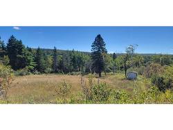 Lot 01-1 Route 121  Riverbank, NB E5T 4Z5