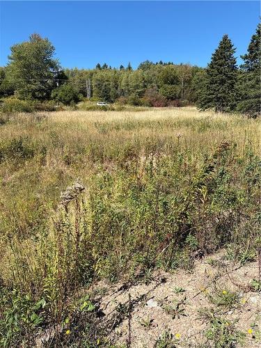 Lot 01-1 Route 121, Riverbank, NB 