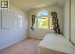 Carpeted bedroom featuring a textured ceiling and lofted ceiling - 