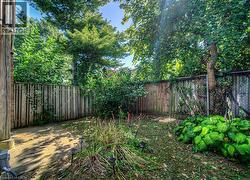 View of fenced backyard - 