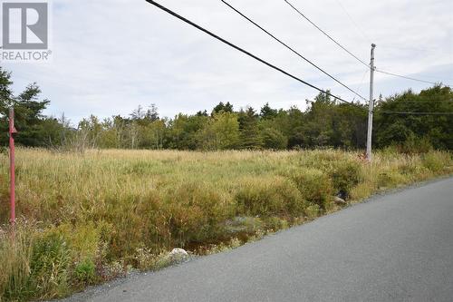 308-310 Anchorage Road, Conception Bay South, NL 