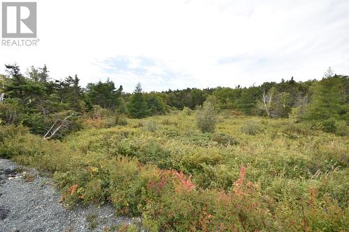 308-310 Anchorage Road, Conception Bay South, NL 