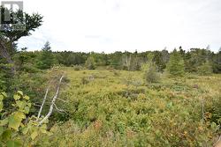 308-310 Anchorage Road  Conception Bay South, NL A1W 4W3