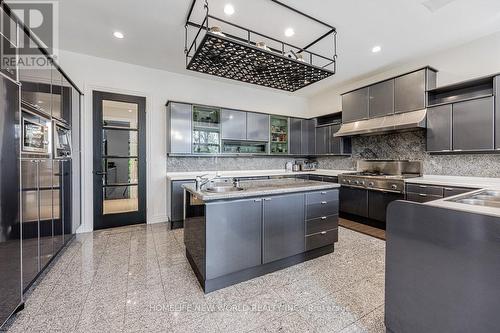 5 Abrams Place, Toronto, ON - Indoor Photo Showing Kitchen With Double Sink With Upgraded Kitchen