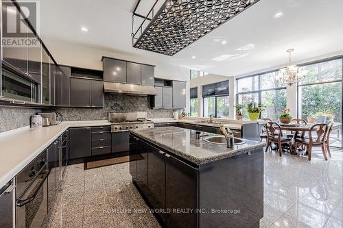 5 Abrams Place, Toronto, ON - Indoor Photo Showing Kitchen With Double Sink With Upgraded Kitchen