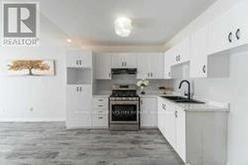 145 Chestnut Street N, Cambridge, ON - Indoor Photo Showing Kitchen