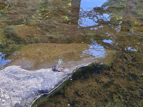 514 Meaugher One Road, Hibernia, NS 