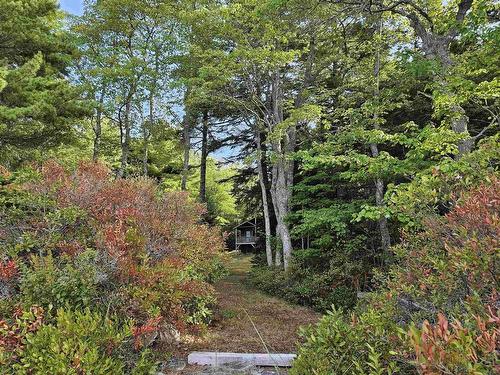 514 Meaugher One Road, Hibernia, NS 