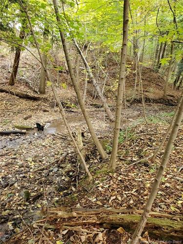 Lot 2 Thompson Rd, Kierstead Mountain, NB 