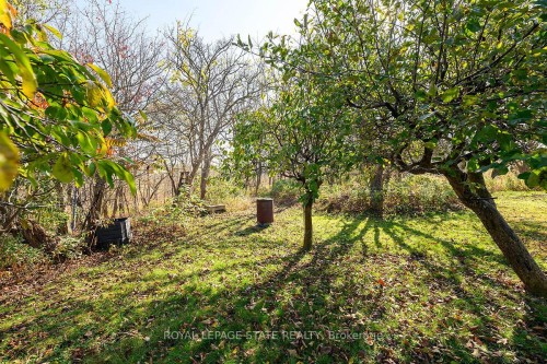 53 Glover Road, Hamilton, ON - Outdoor