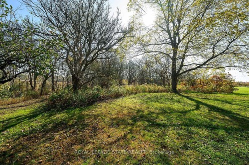 53 Glover Road, Hamilton, ON - Outdoor