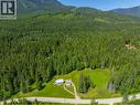 1734 Mt Begbie Road, Revelstoke, BC  - Outdoor With View 