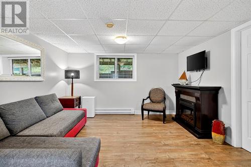 2 Johns Road, St Phillips, NL - Indoor Photo Showing Living Room