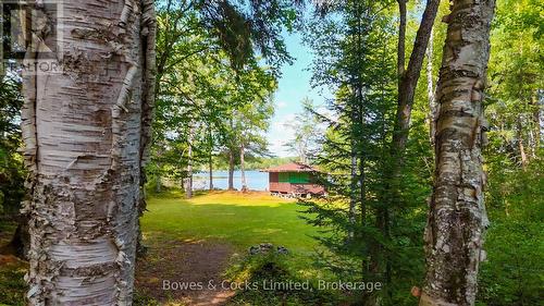 915 Madawaska River Drive, Madawaska Valley, ON - Outdoor With View