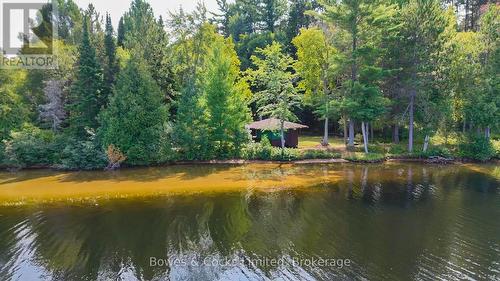 915 Madawaska River Drive, Madawaska Valley, ON - Outdoor With Body Of Water With View