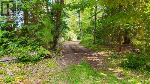 915 Madawaska River Drive, Madawaska Valley, ON - Outdoor