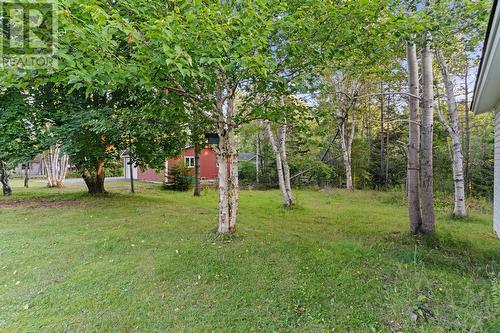 35 Pine Tree Road, Gambo, NL - Outdoor